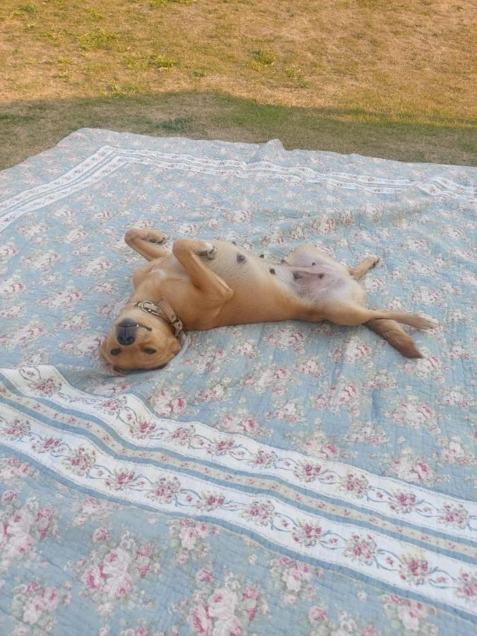 Das Marias Hostel Lagoa Santa  Dış mekan fotoğraf