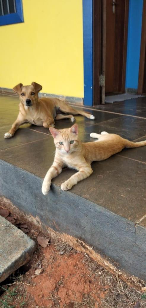 Das Marias Hostel Lagoa Santa  Dış mekan fotoğraf